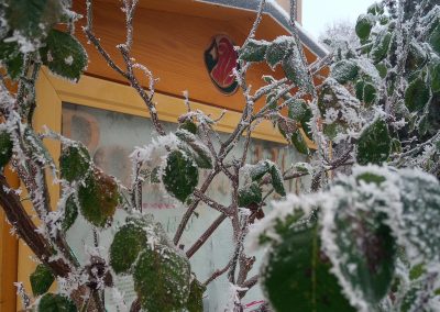 Verschneites Retreat-Haus während eines Schweigeretreats im Winter.