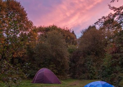 Naturgelände und Zeltplatz am Yoga Vidya Ashram für Spaziergänge, Erholung und bewusste Auszeiten.