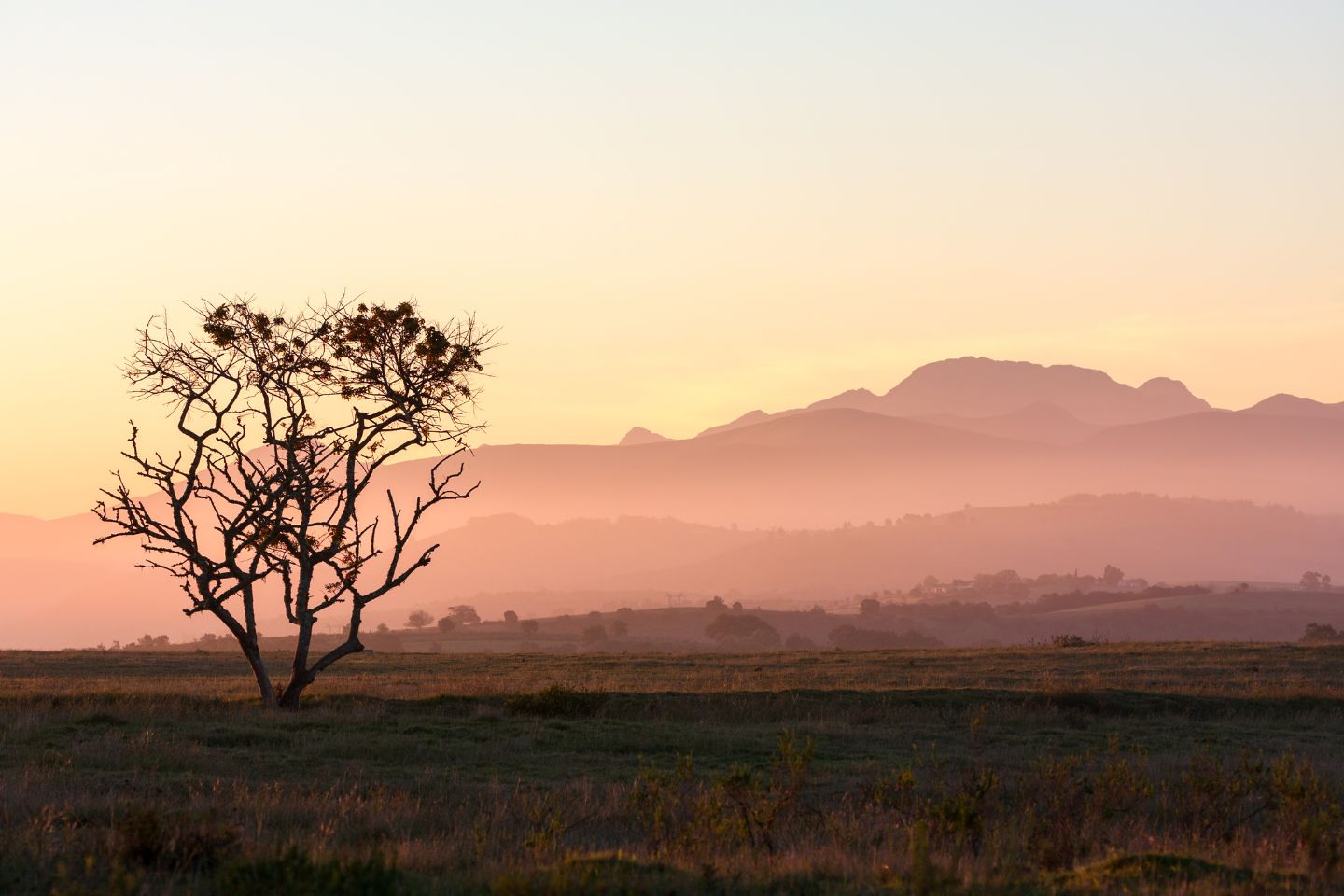 Ein einzelner Baum in weiter Landschaft bei Sonnenaufgang – Symbol für innere Balance und die eigene Mitte im Schweigeretreat Frühsommer.