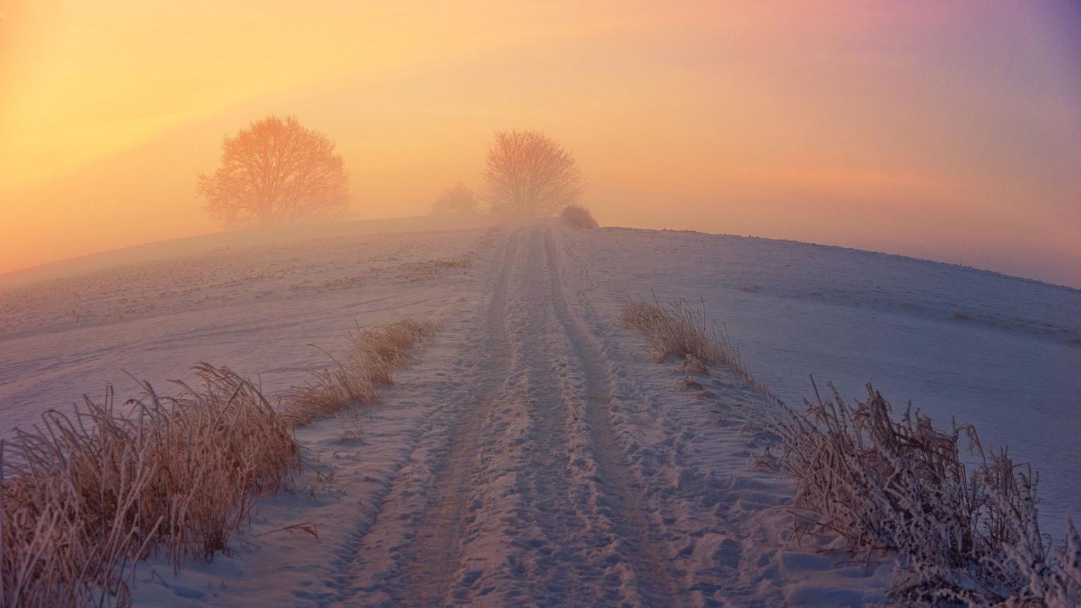 Winterlicher Weg in der Natur – Schweigeretreat zum Jahresbeginn